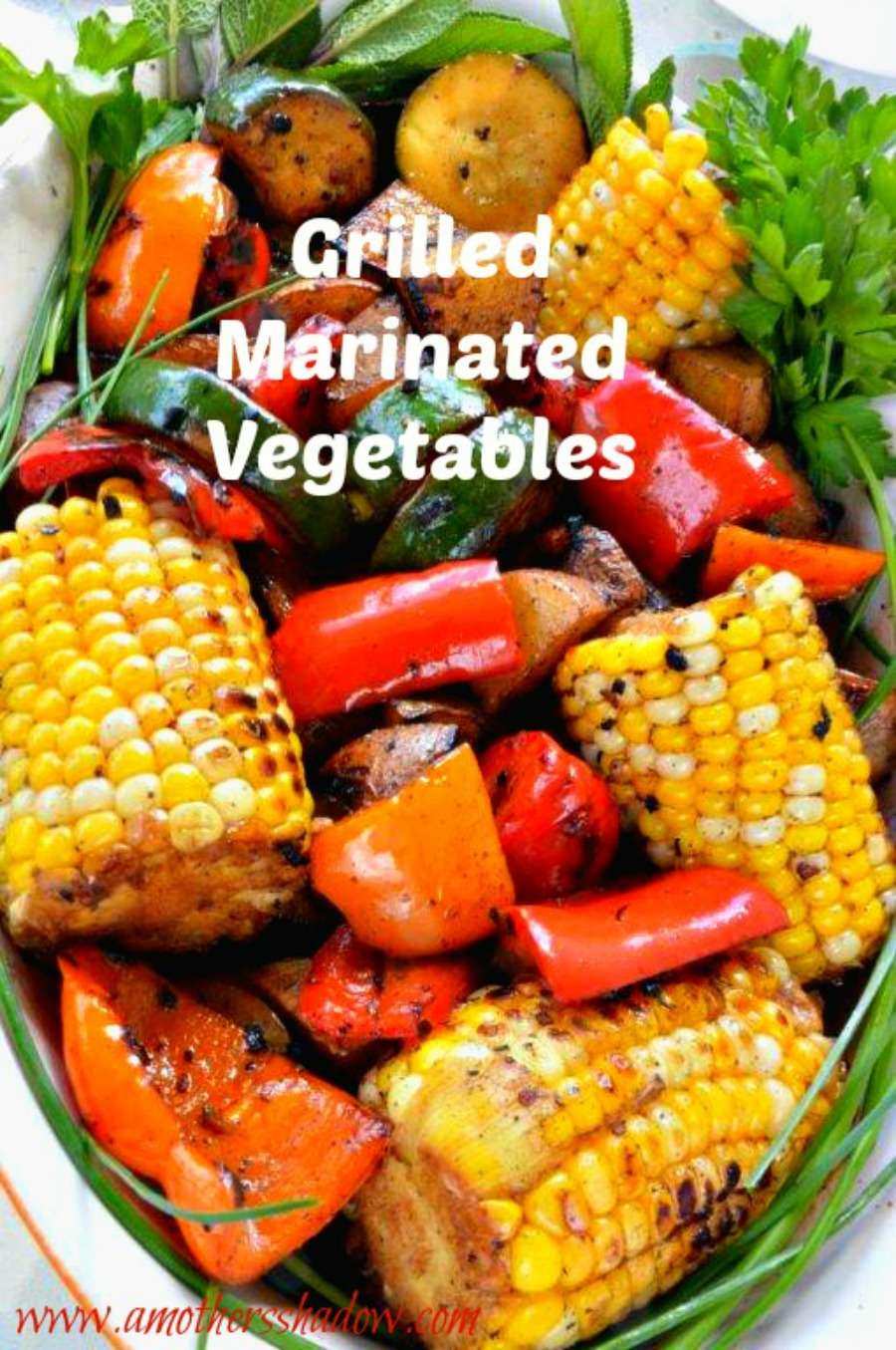 ALL Kids will love these Grilled Marinated Vegetables